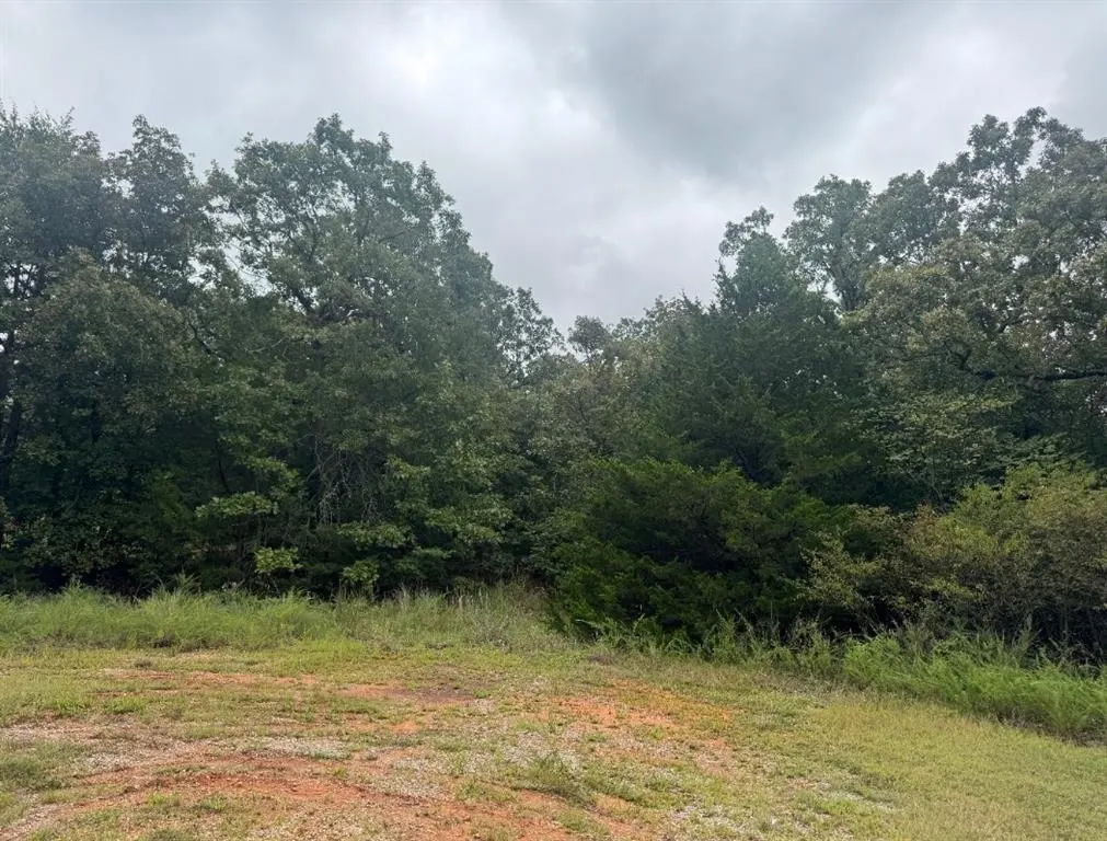 Photo 4 — 15 E Comanche Road, Norman, OK 73026