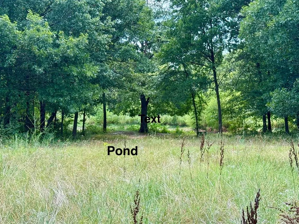 Photo 28 — 30235 Johnson Road, Maud, OK 74854