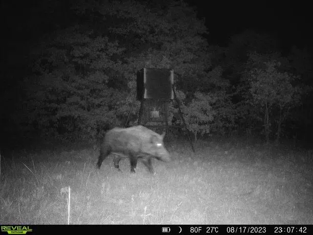 Photo 11 — County Street 2966, Alex, OK 73002