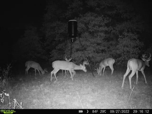 Photo 12 — County Street 2966, Alex, OK 73002