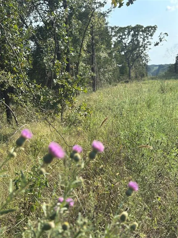 Photo 4 — 7507 E 137 Road, Holdenville, OK 74848
