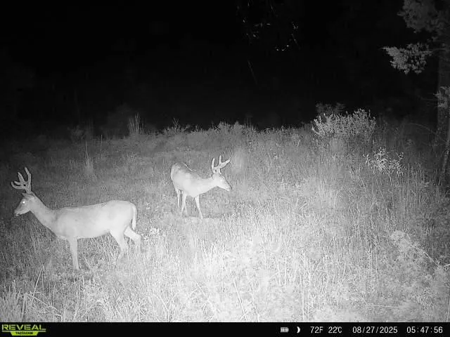 Photo 6 — 7507 E 137 Road, Holdenville, OK 74848
