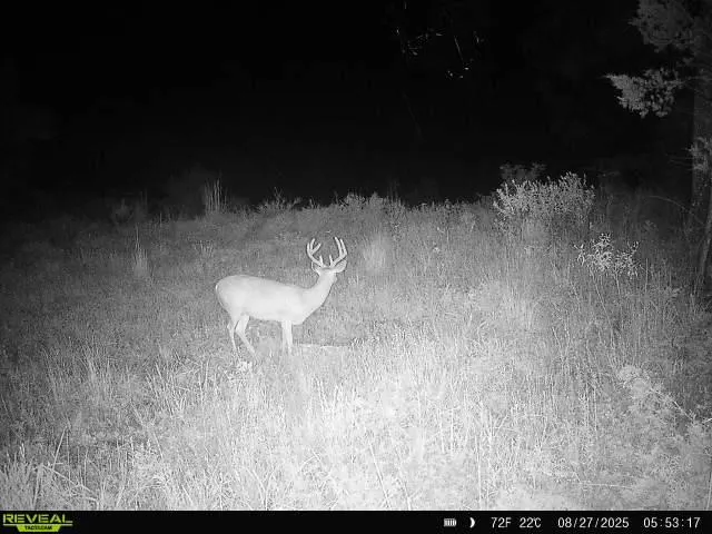 Photo 7 — 7507 E 137 Road, Holdenville, OK 74848