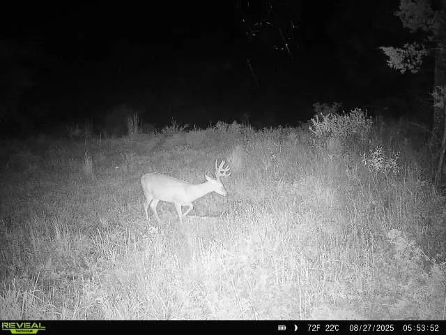 Photo 8 — 7507 E 137 Road, Holdenville, OK 74848
