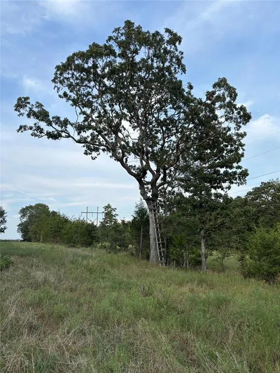 Photo 43 — 7507 E 137 Road, Holdenville, OK 74848