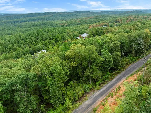 Photo 4 — 493 Moonshiner Springs Trail, Broken Bow, OK 74728