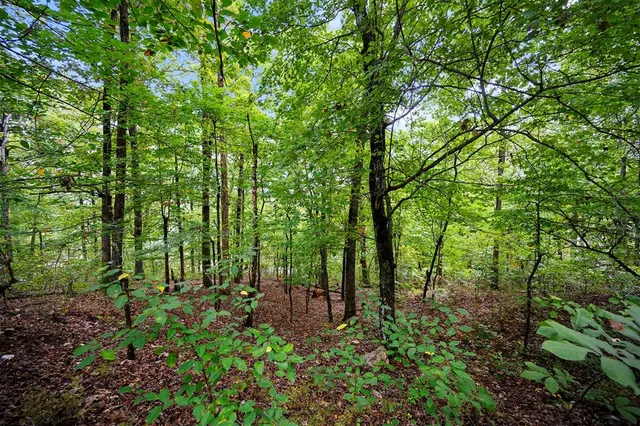 Photo 8 — 493 Moonshiner Springs Trail, Broken Bow, OK 74728
