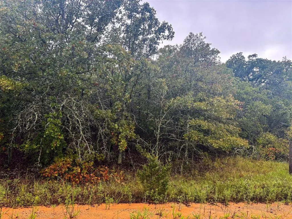 Photo 3 — 0 NS 365 Road, Wewoka, OK 74884