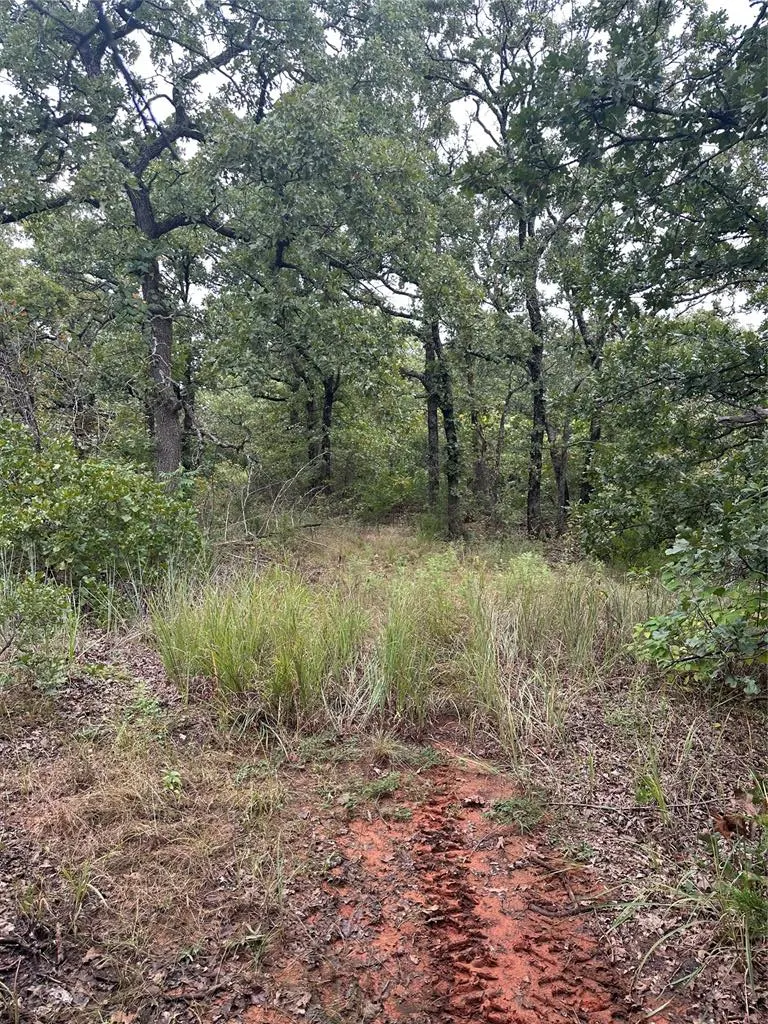 Photo 6 — 6353 BROWN Lane, Noble, OK 73068
