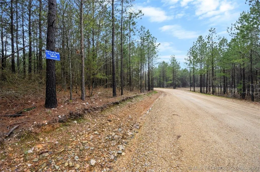 Photo 6 — 124 Hochadogwood Trail, Broken Bow, OK 74728