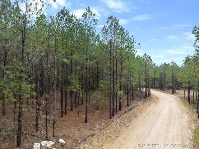 Photo 7 — 124 Hochadogwood Trail, Broken Bow, OK 74728