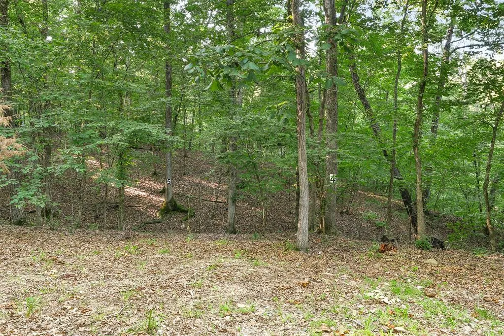 Photo 43 — 573 Timber Creek Trail, Broken Bow, OK 74728