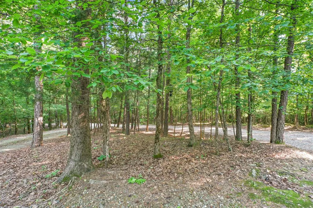 Photo 44 — 573 Timber Creek Trail, Broken Bow, OK 74728