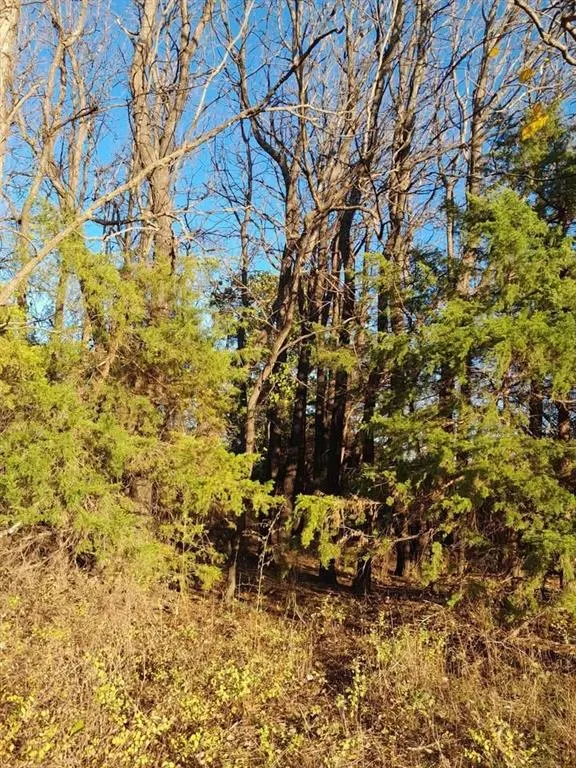 Photo 3 — 3390 Road, Carney, OK 74832