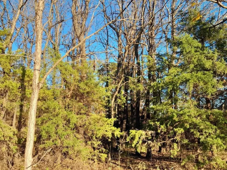 Photo 4 — 3390 Road, Carney, OK 74832