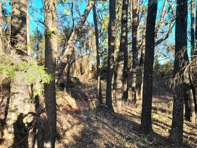Photo 5 — 3390 Road, Carney, OK 74832