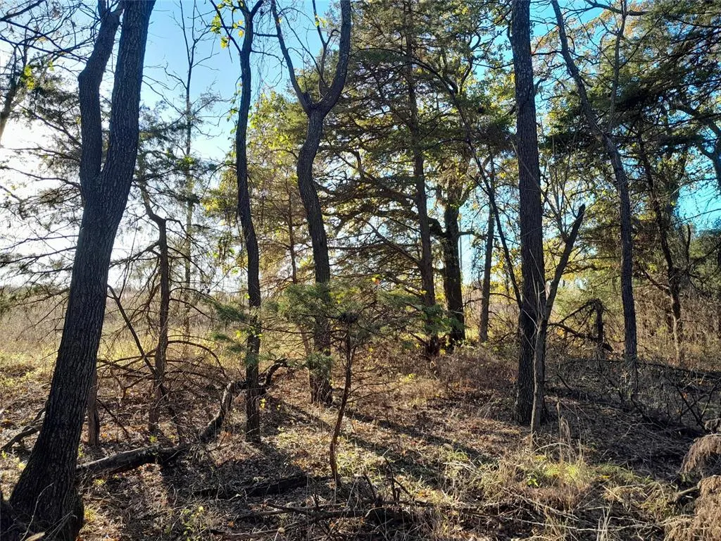 Photo 11 — 3390 Road, Carney, OK 74832
