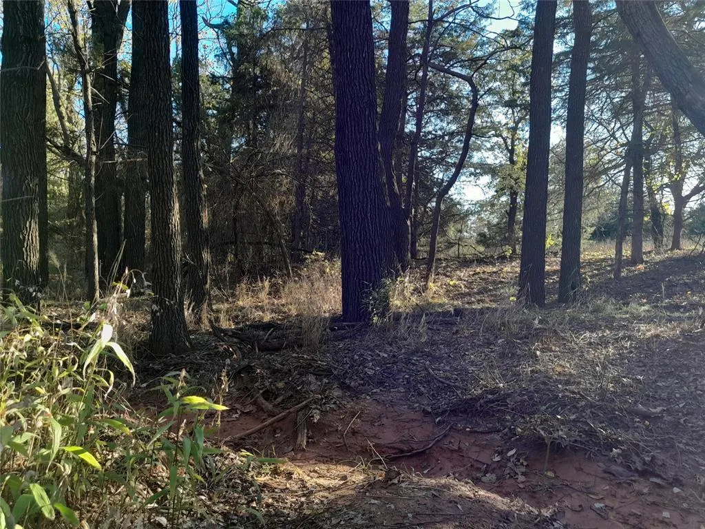 Photo 12 — 3390 Road, Carney, OK 74832