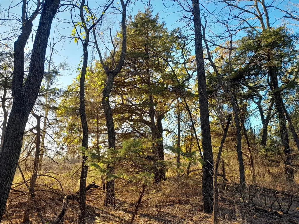 Photo 15 — 3390 Road, Carney, OK 74832