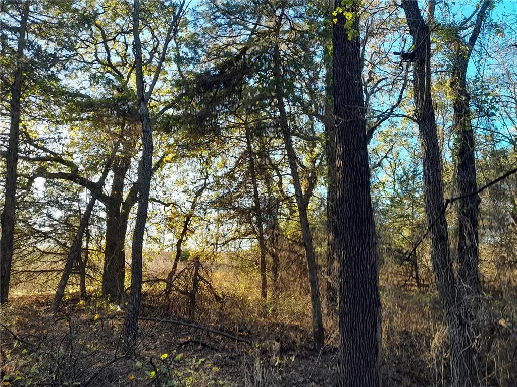 Photo 17 — 3390 Road, Carney, OK 74832