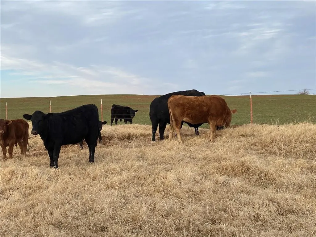 Photo 5 — 4800 Old Farm Road, El Reno, OK 73036