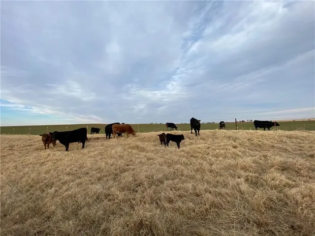 Photo 7 — 4800 Old Farm Road, El Reno, OK 73036