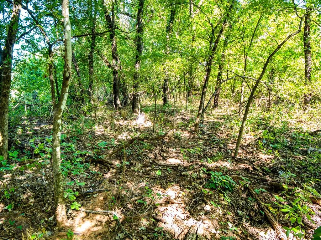 Photo 40 — E 990 rd, Prague, OK 74864