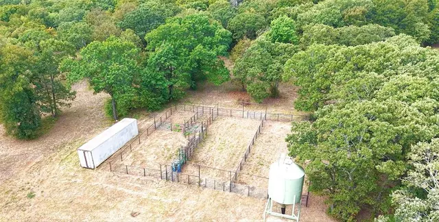 Photo 8 — 36174 EW 1200 Road, Seminole, OK 74868