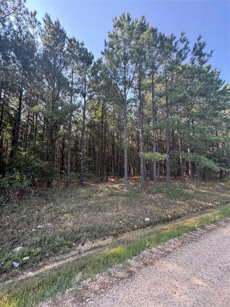 Photo 2 — 532 Pine Hills Lot 128 Track 1 Road, Broken Bow, OK 74728