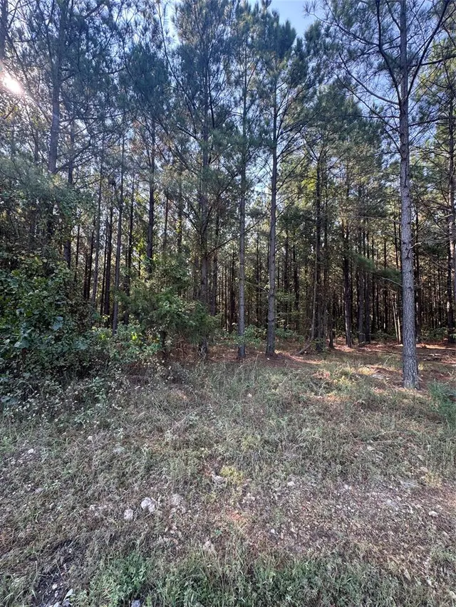 Photo 4 — 532 Pine Hills Lot 128 Track 1 Road, Broken Bow, OK 74728