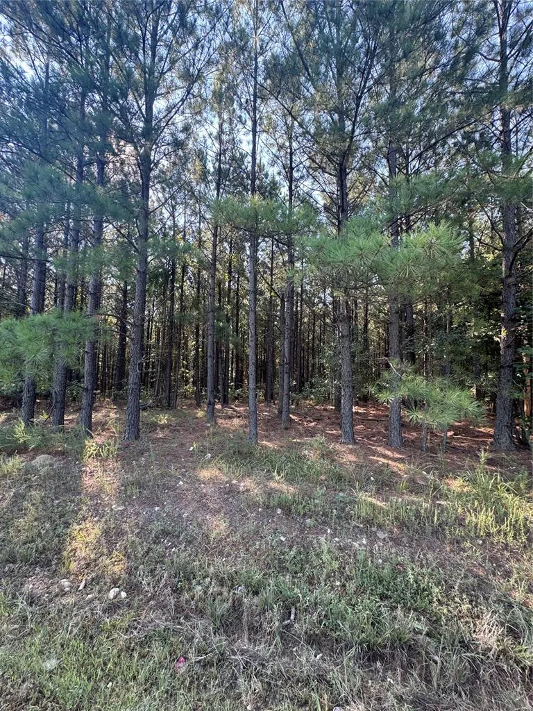 Photo 5 — 532 Pine Hills Lot 128 Track 1 Road, Broken Bow, OK 74728