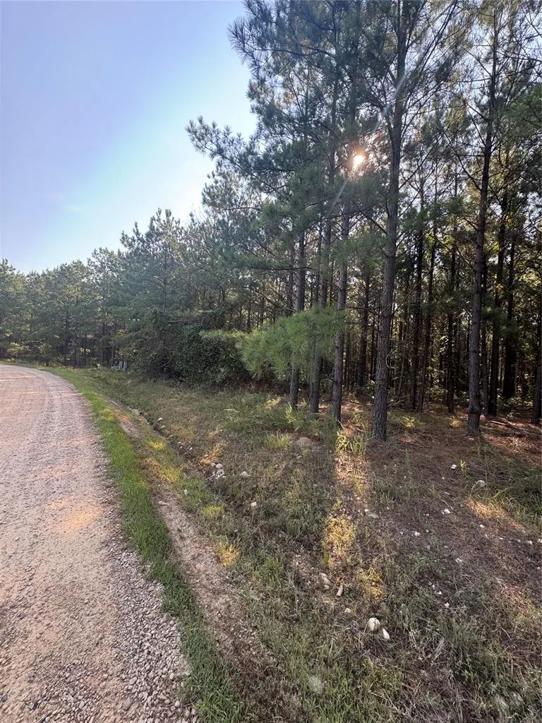 Photo 7 — 532 Pine Hills Lot 128 Track 1 Road, Broken Bow, OK 74728