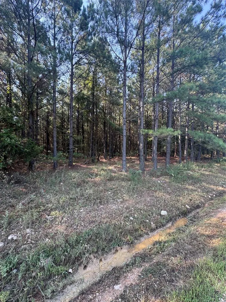 Photo 3 — 532 Pine Hills Lot 128 Track 2 Road, Broken Bow, OK 74728