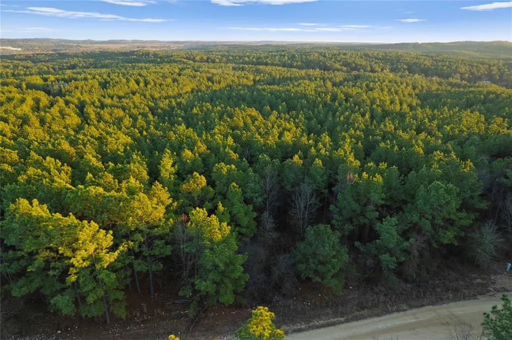 Photo 8 — 456 Pine Hills Lot 129 Track 1 Road, Broken Bow, OK 74728