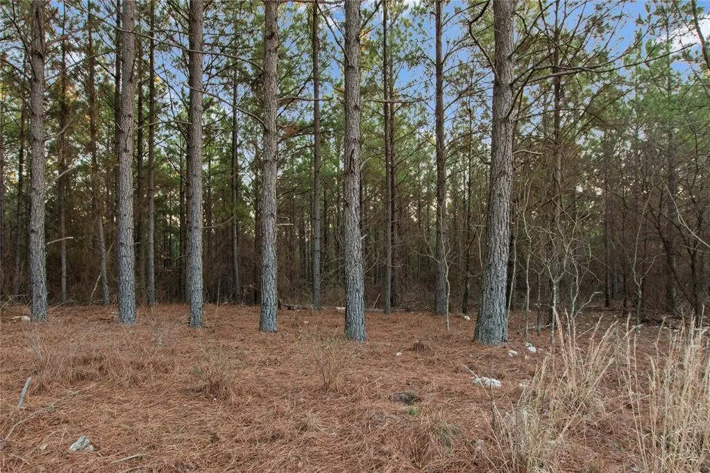 Photo 7 — 456 Pine Hills Lot 129 Track 2 Road, Broken Bow, OK 74728