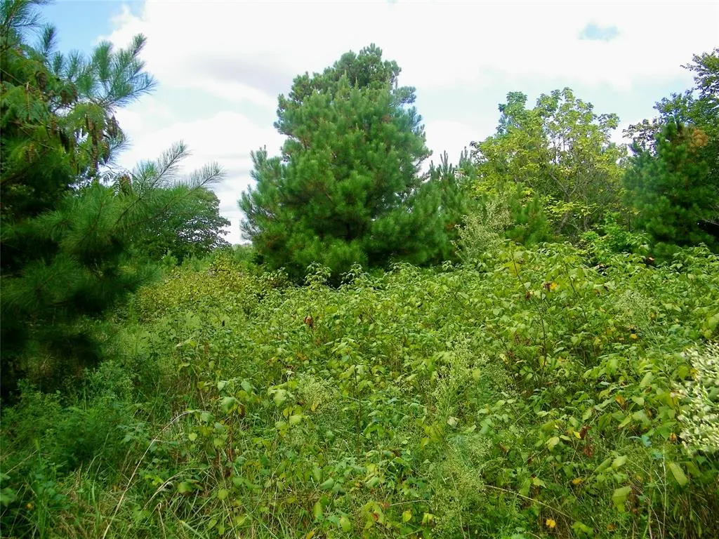 Photo 9 — 00 S Harrah Road, Harrah, OK 73045
