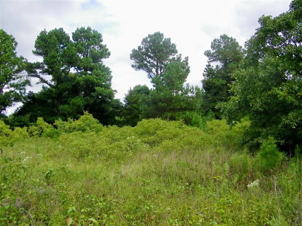 Photo 10 — 00 S Harrah Road, Harrah, OK 73045