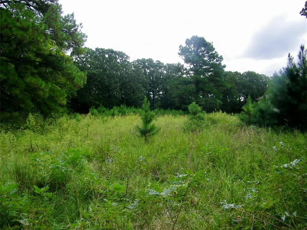 Photo 15 — 00 S Harrah Road, Harrah, OK 73045