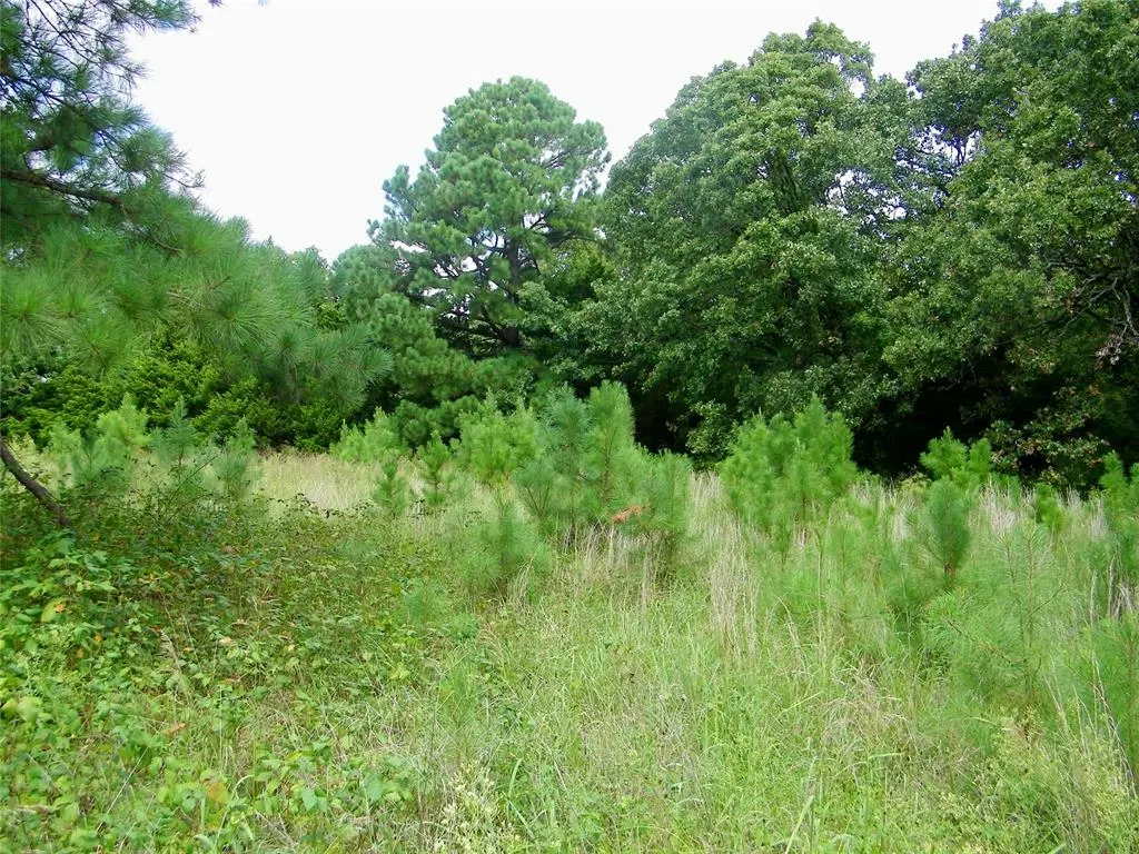 Photo 16 — 00 S Harrah Road, Harrah, OK 73045
