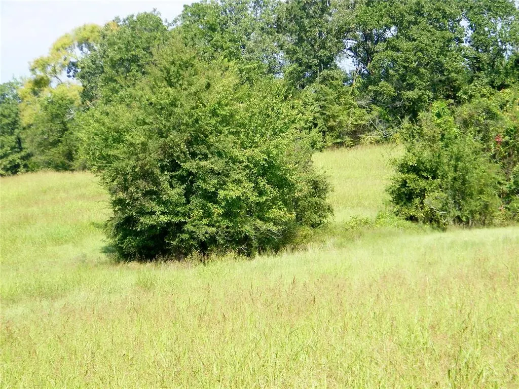 Photo 16 — 901 Sycamore Bend Loop, Broken Bow, OK 74728