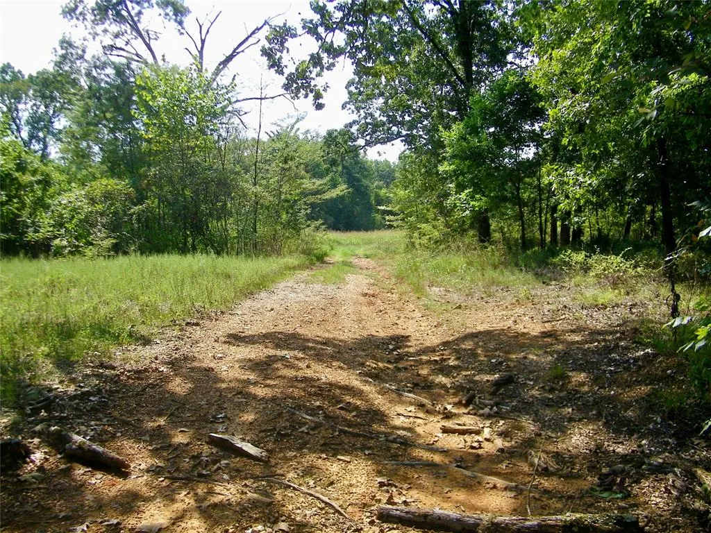 Photo 22 — 901 Sycamore Bend Loop, Broken Bow, OK 74728