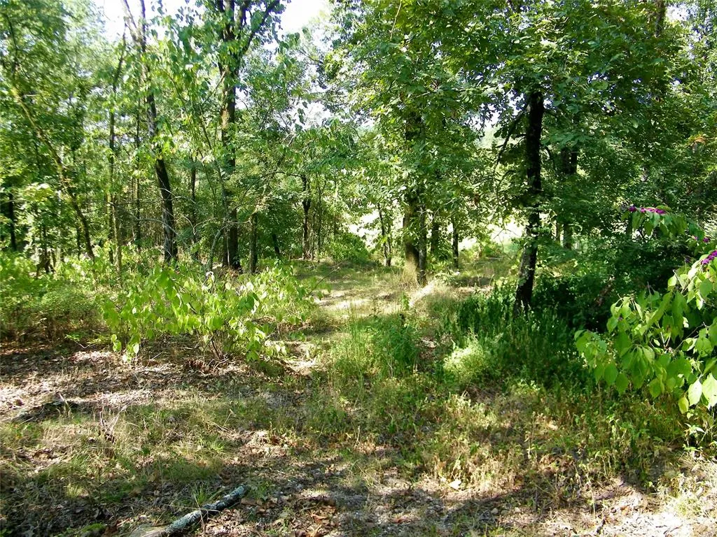 Photo 23 — 901 Sycamore Bend Loop, Broken Bow, OK 74728