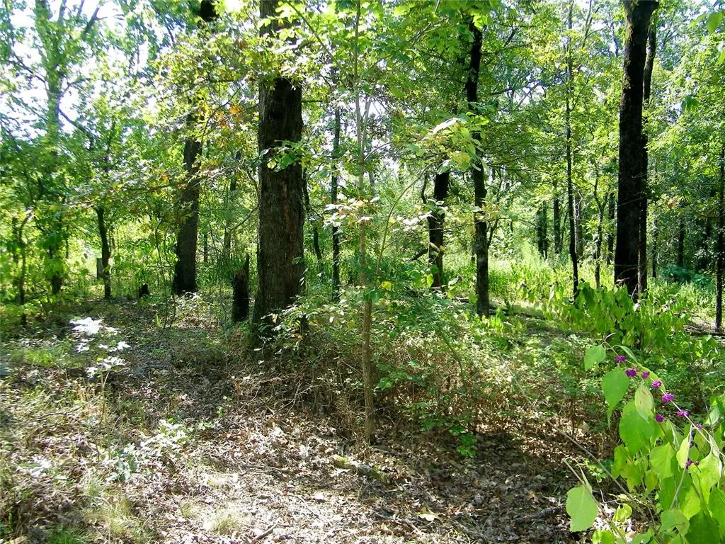 Photo 24 — 901 Sycamore Bend Loop, Broken Bow, OK 74728