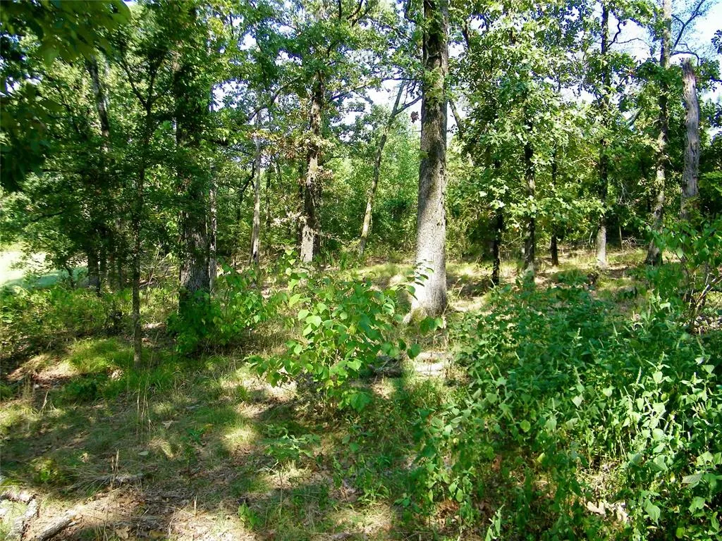Photo 25 — 901 Sycamore Bend Loop, Broken Bow, OK 74728