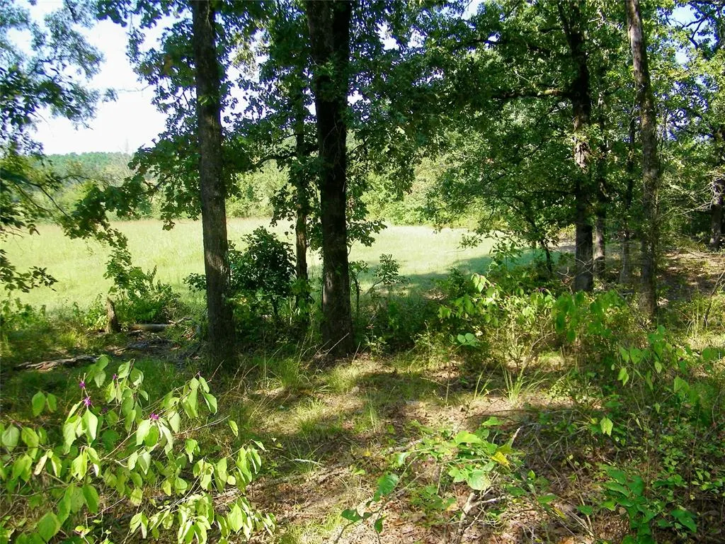 Photo 26 — 901 Sycamore Bend Loop, Broken Bow, OK 74728