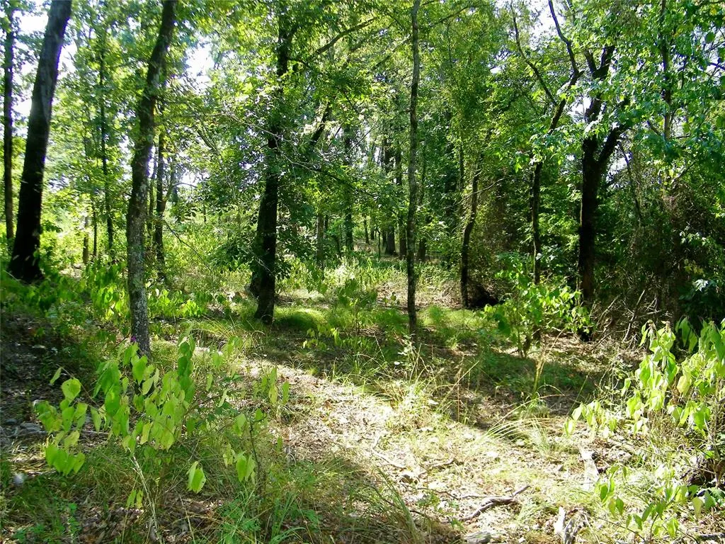 Photo 27 — 901 Sycamore Bend Loop, Broken Bow, OK 74728