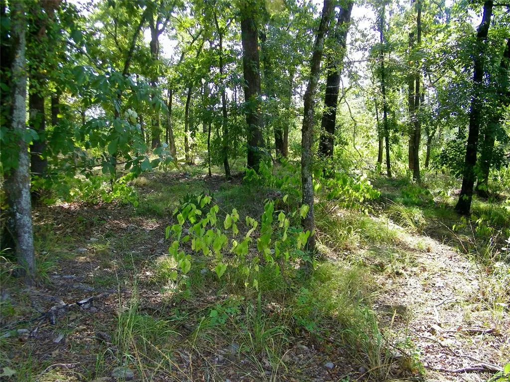 Photo 30 — 901 Sycamore Bend Loop, Broken Bow, OK 74728