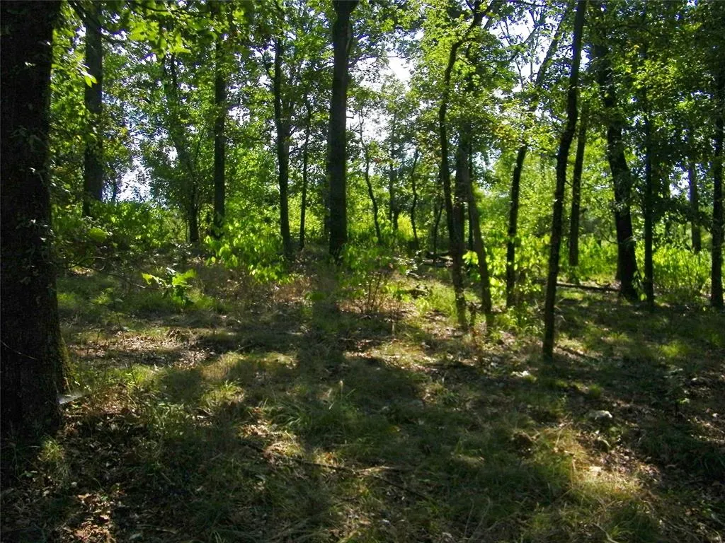 Photo 32 — 901 Sycamore Bend Loop, Broken Bow, OK 74728