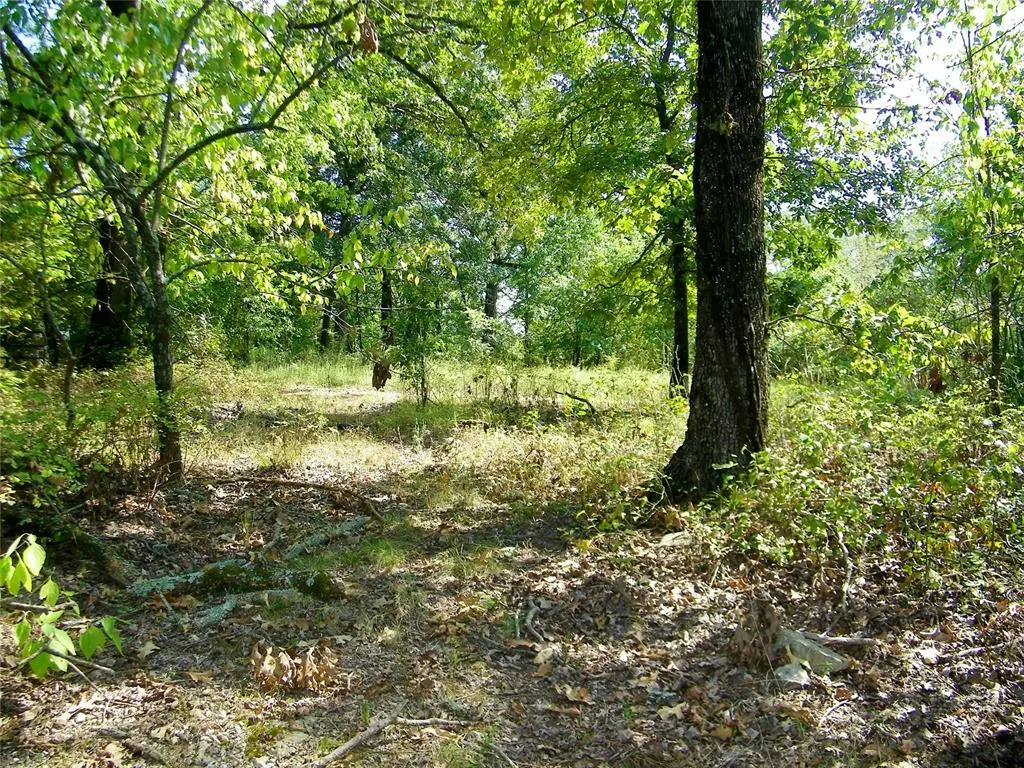 Photo 33 — 901 Sycamore Bend Loop, Broken Bow, OK 74728