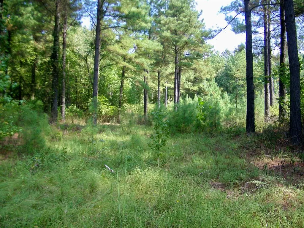 Photo 15 — 901 Sycamore Bend Loop, Broken Bow, OK 74728
